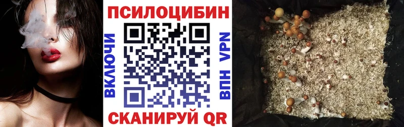 Галлюциногенные грибы Psilocybine cubensis  Купить закладки  Всеволожск 